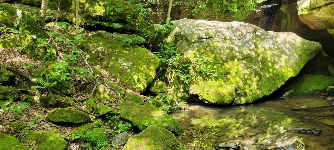 Rock Shelters & Creeks