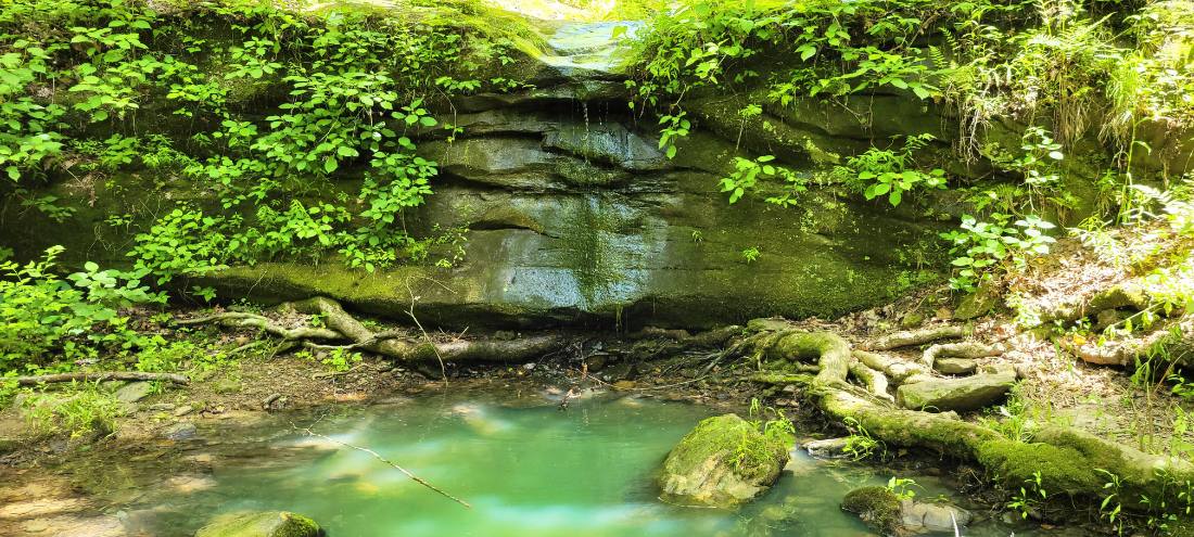 Rock Shelters & Creeks