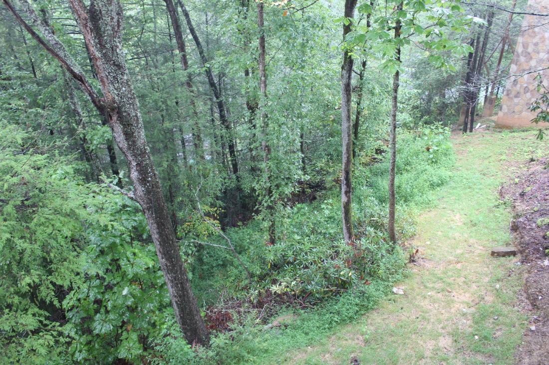 Into the Great Smoky Mountains