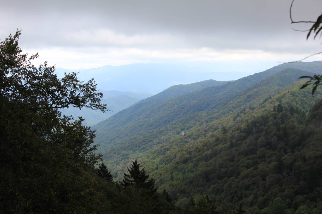 Clingmans Dome & the high country