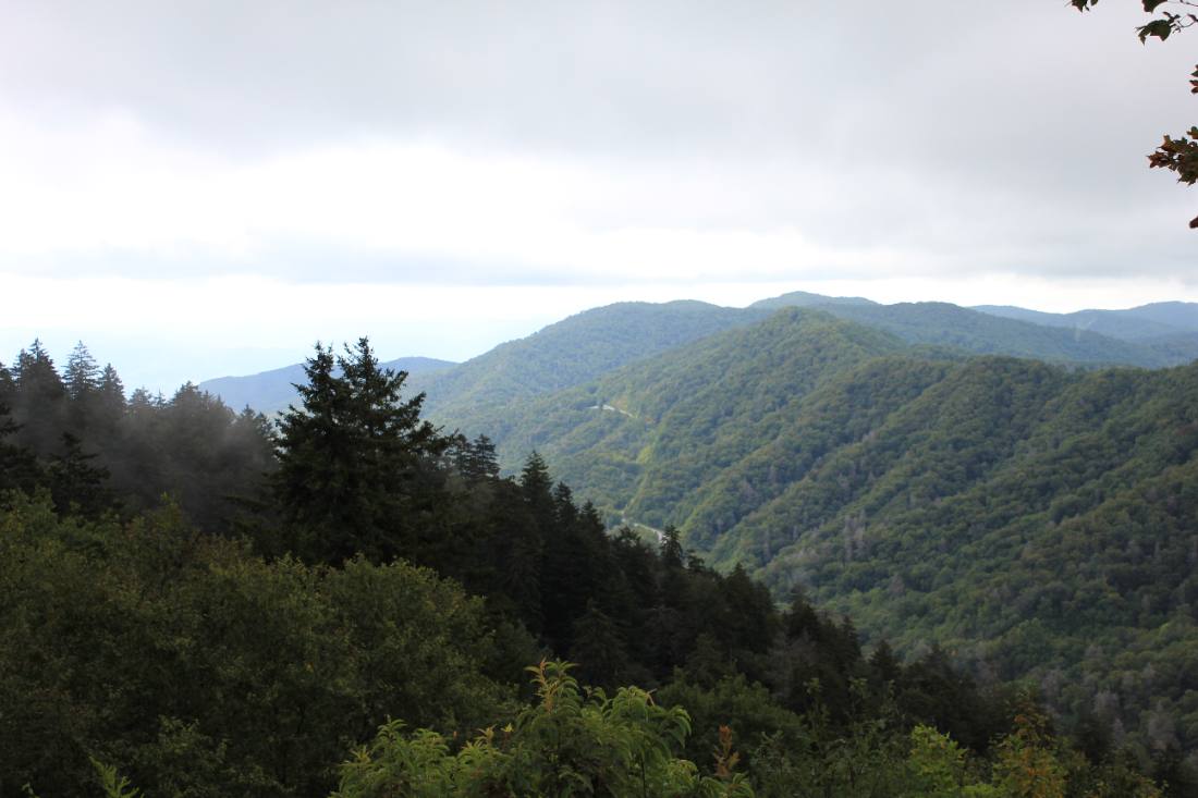 Clingmans Dome & the high country