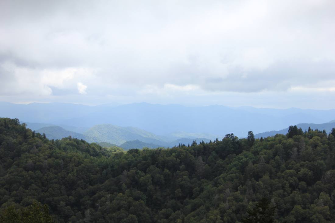 Clingmans Dome & the high country
