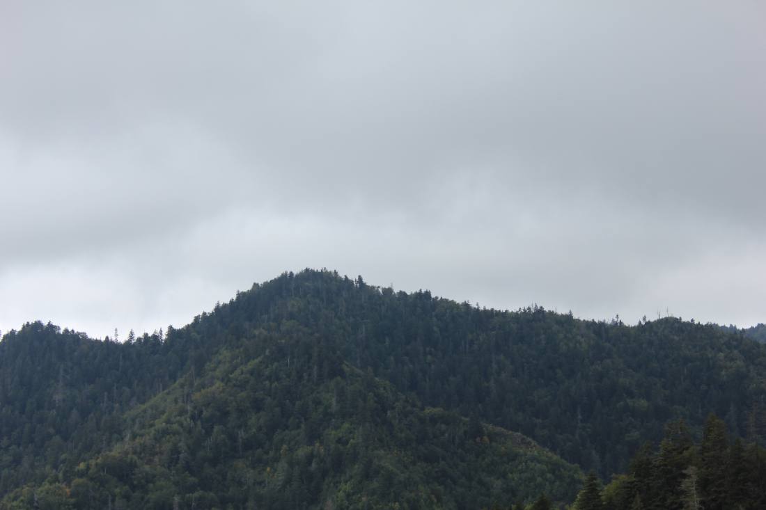 Clingmans Dome & the high country