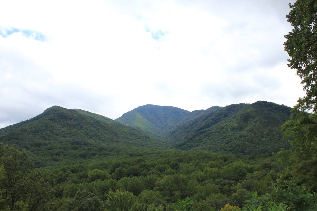 Clingmans Dome & the high country