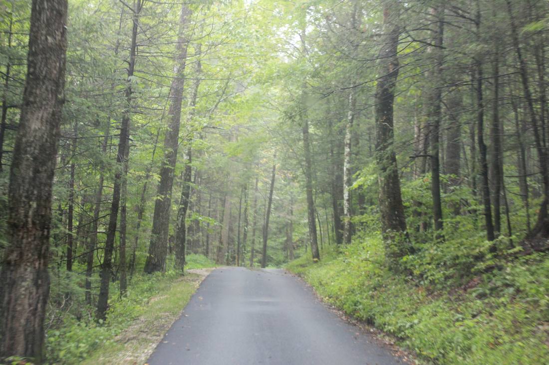 Forest roads & mountain streams