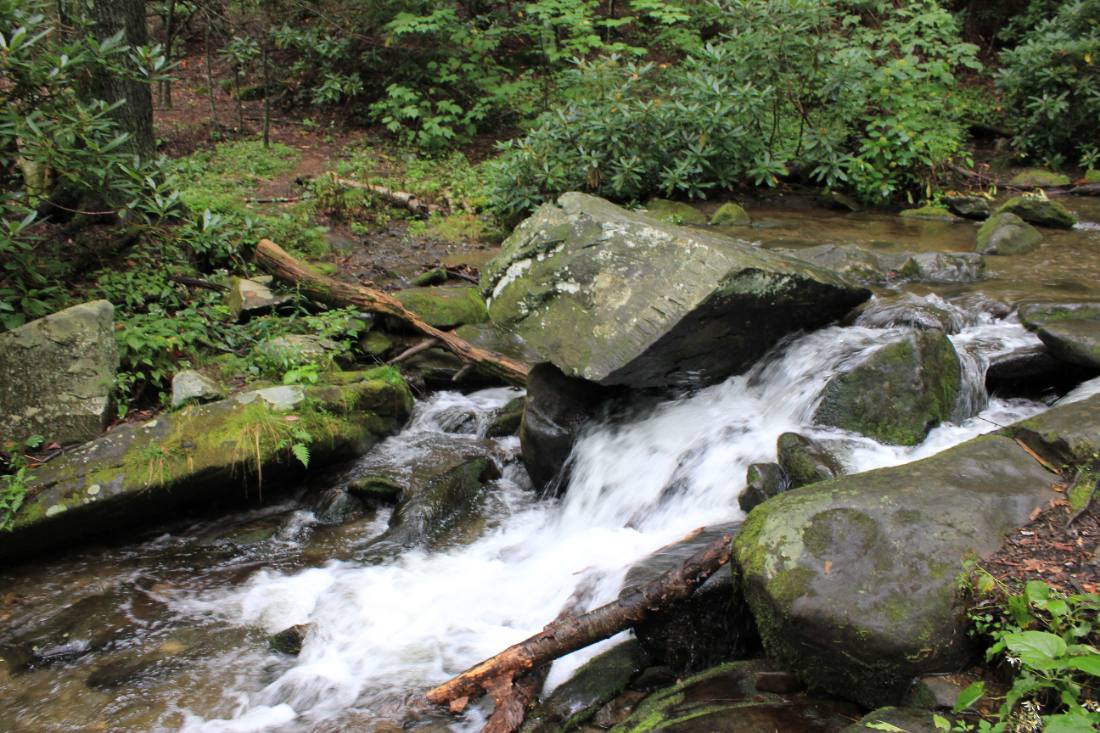 Forest roads & mountain streams