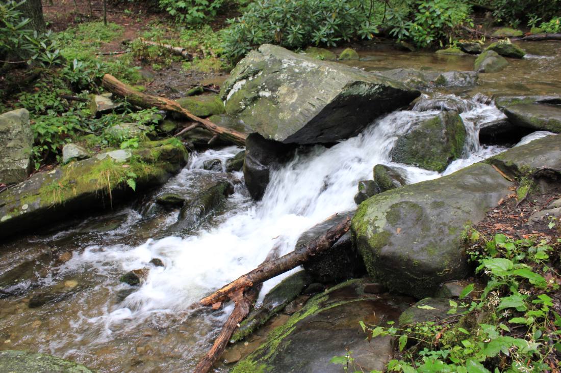 Forest roads & mountain streams