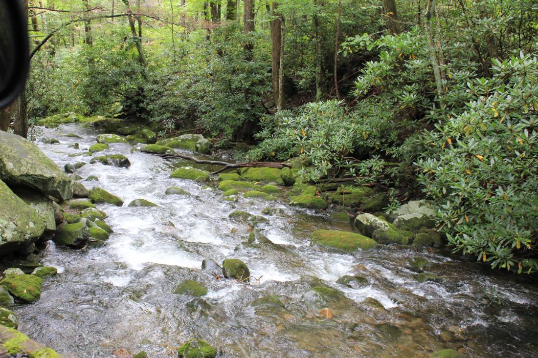 Forest roads & mountain streams