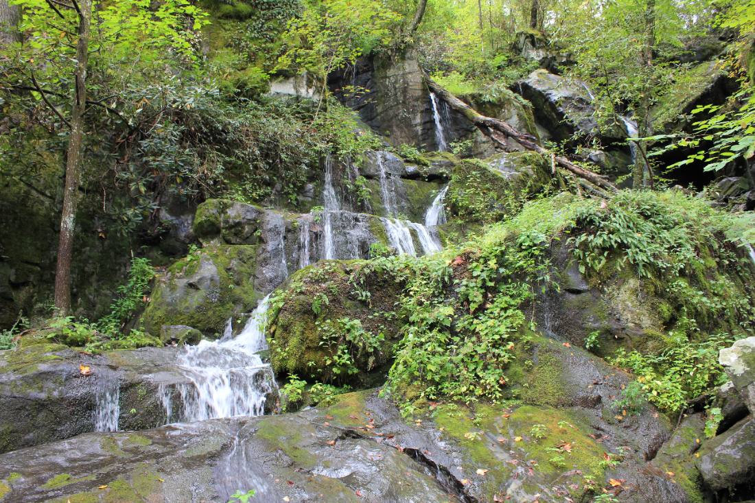Forest roads & mountain streams