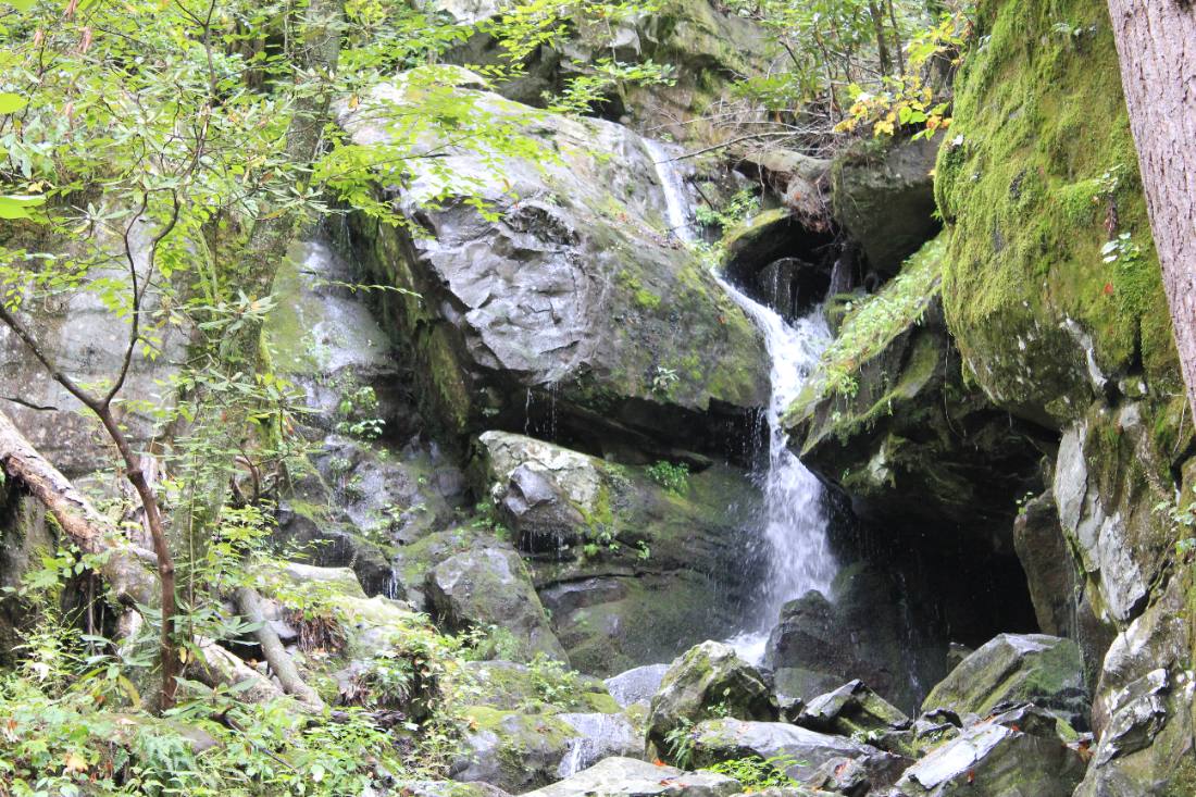 Forest roads & mountain streams