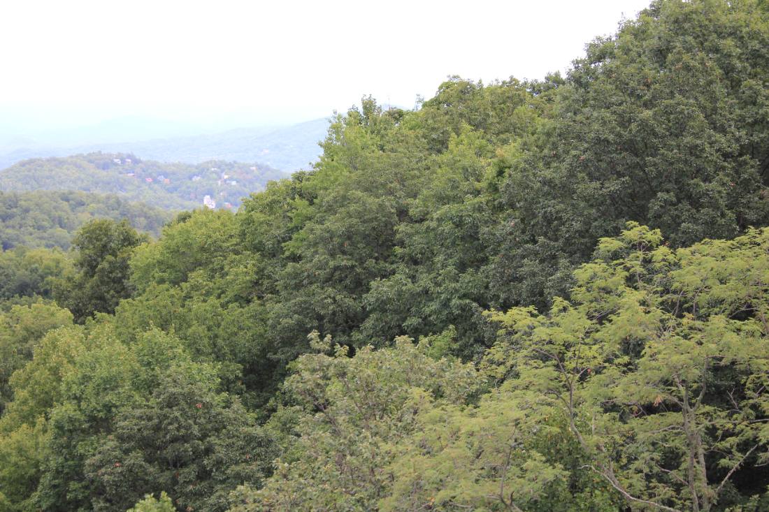 Ober Gatlinburg