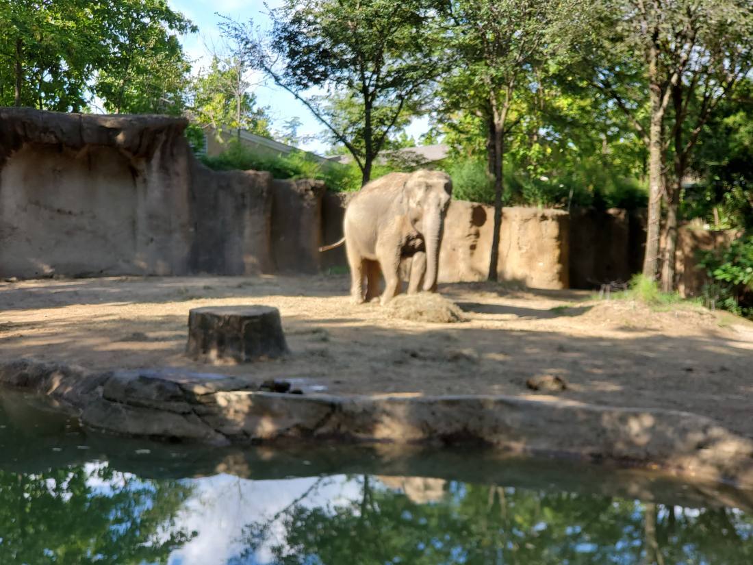The Saint Louis Zoo