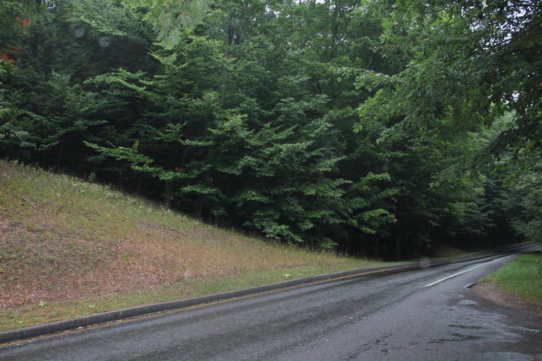 The Pierce Stocking Scenic Drive
