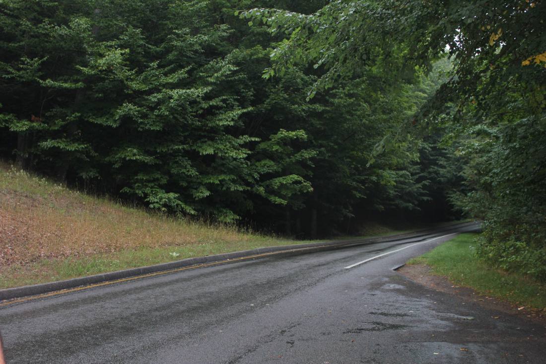 The Pierce Stocking Scenic Drive