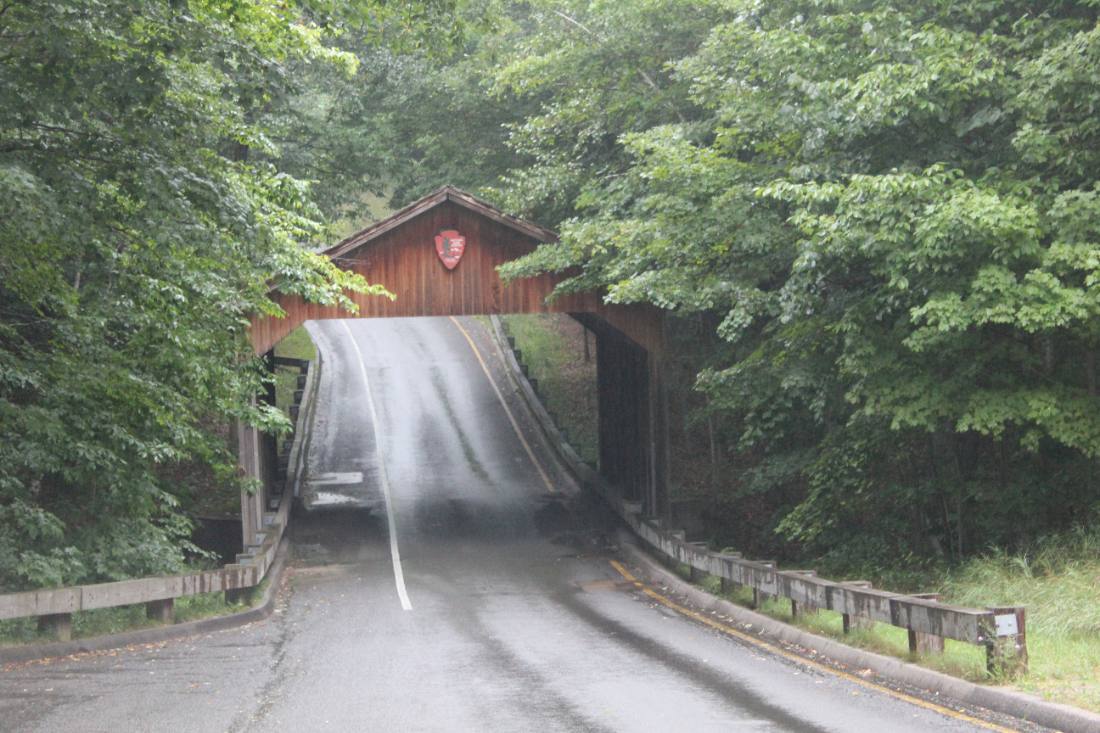 The Pierce Stocking Scenic Drive