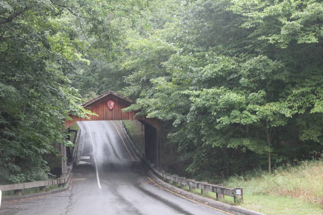 The Pierce Stocking Scenic Drive