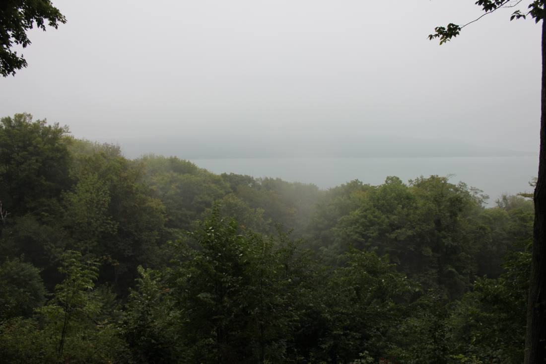 The Pierce Stocking Scenic Drive