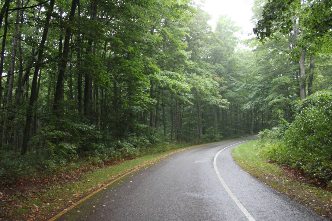 The Pierce Stocking Scenic Drive