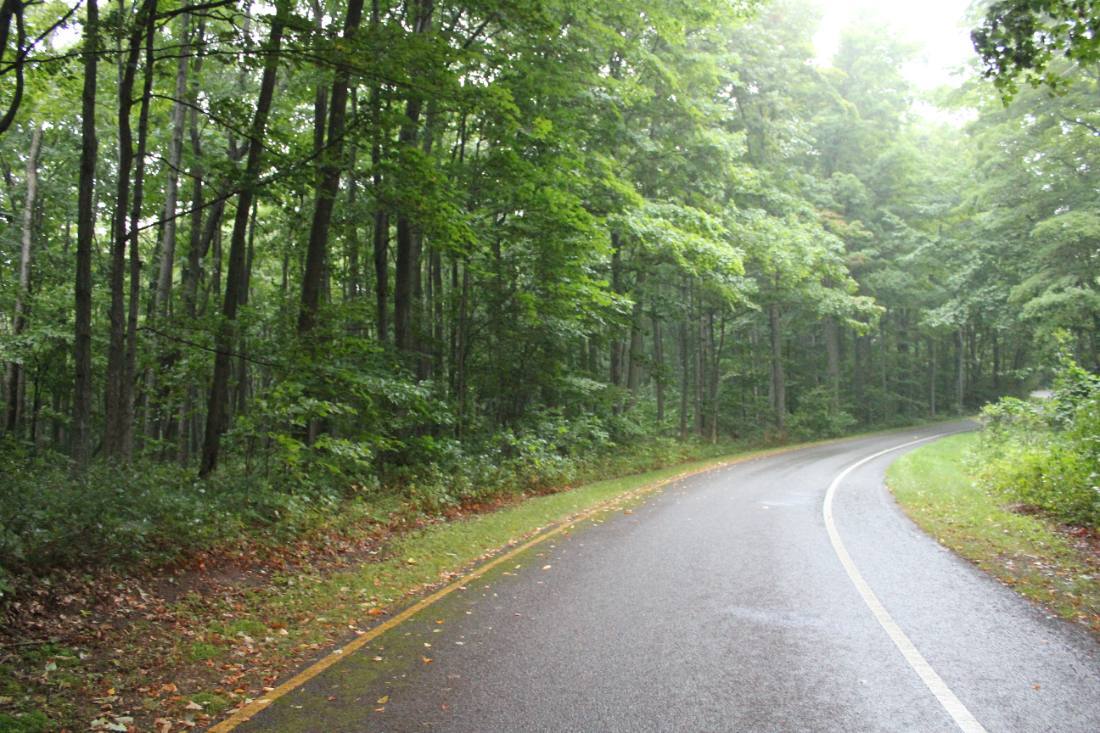 The Pierce Stocking Scenic Drive