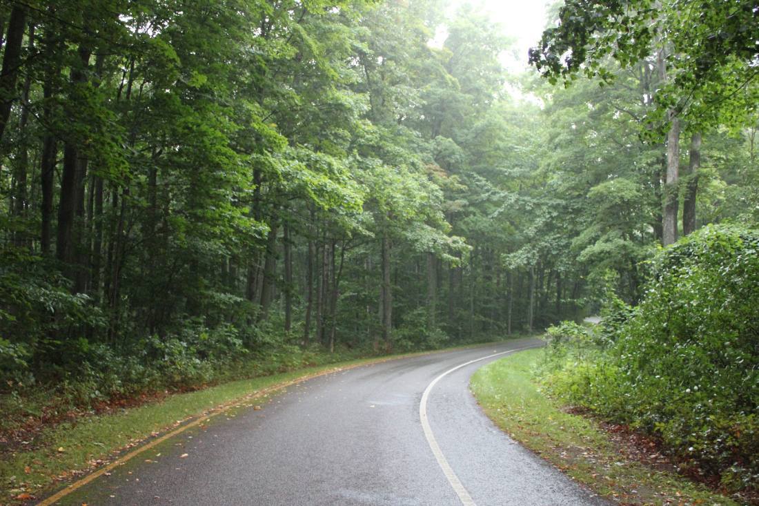 The Pierce Stocking Scenic Drive