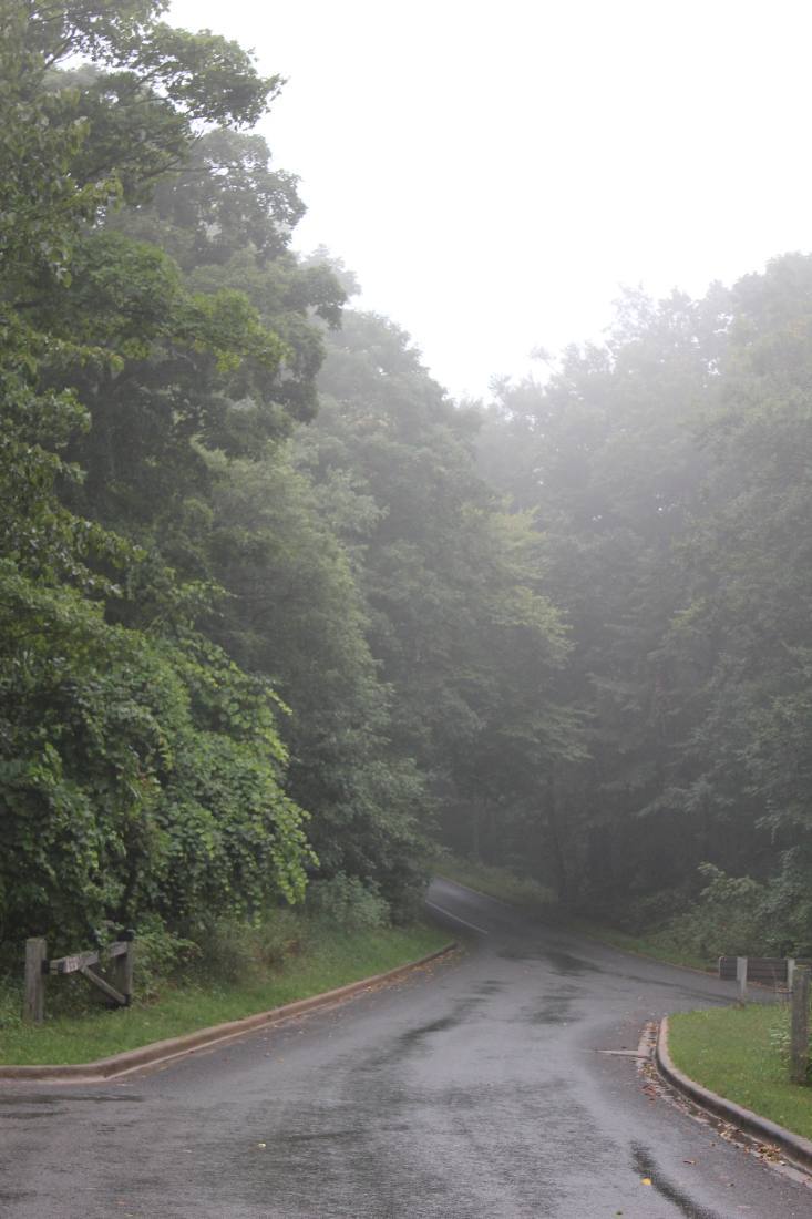 The Pierce Stocking Scenic Drive