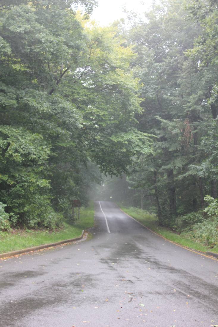 The Pierce Stocking Scenic Drive