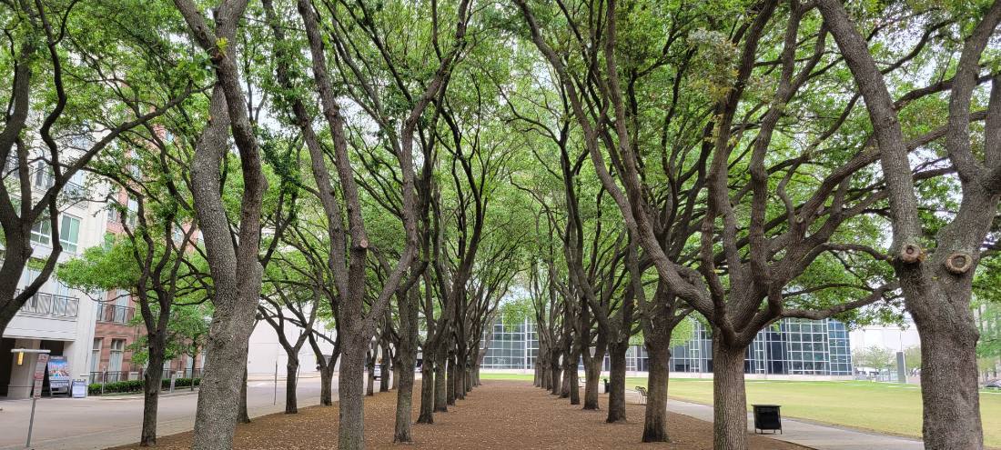 Dallas, Fort Worth & the Perot Museum