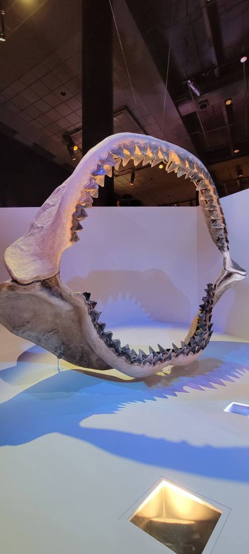 Dallas, Fort Worth & the Perot Museum