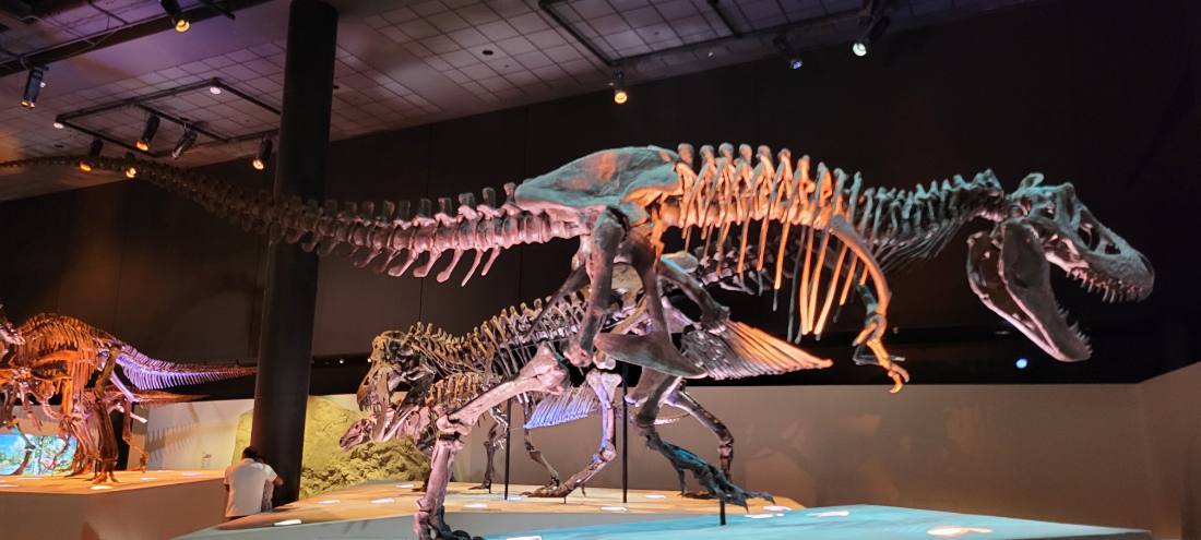 Dallas, Fort Worth & the Perot Museum