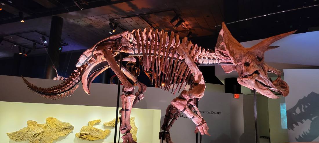 Dallas, Fort Worth & the Perot Museum