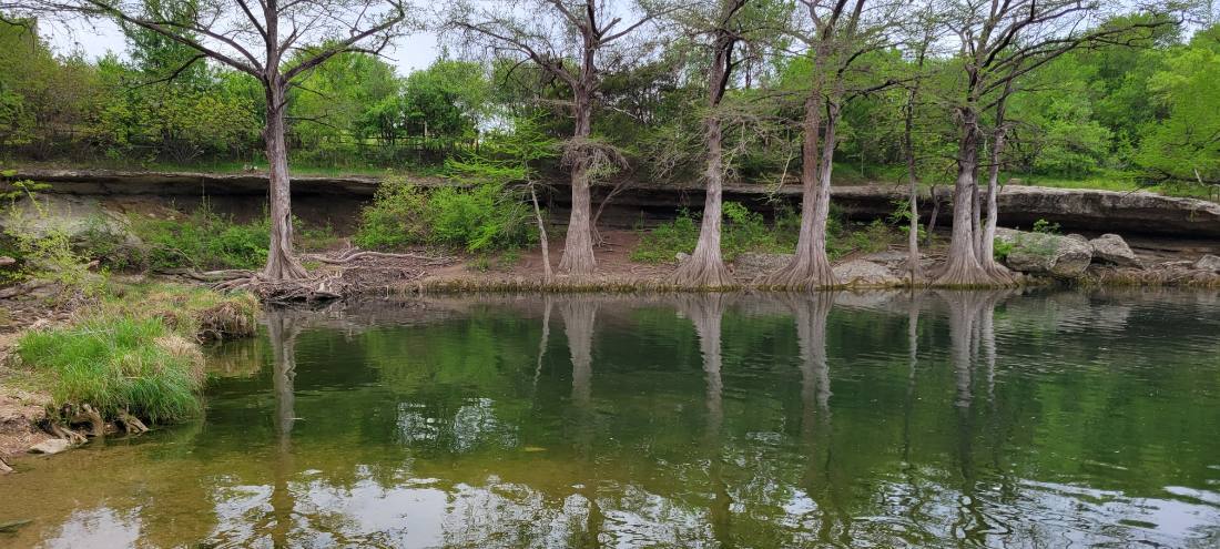 The Alamo, Austin & the Hill Country