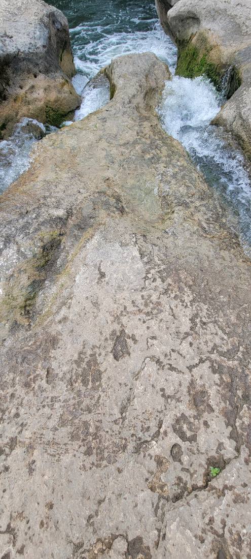 The Alamo, Austin & the Hill Country