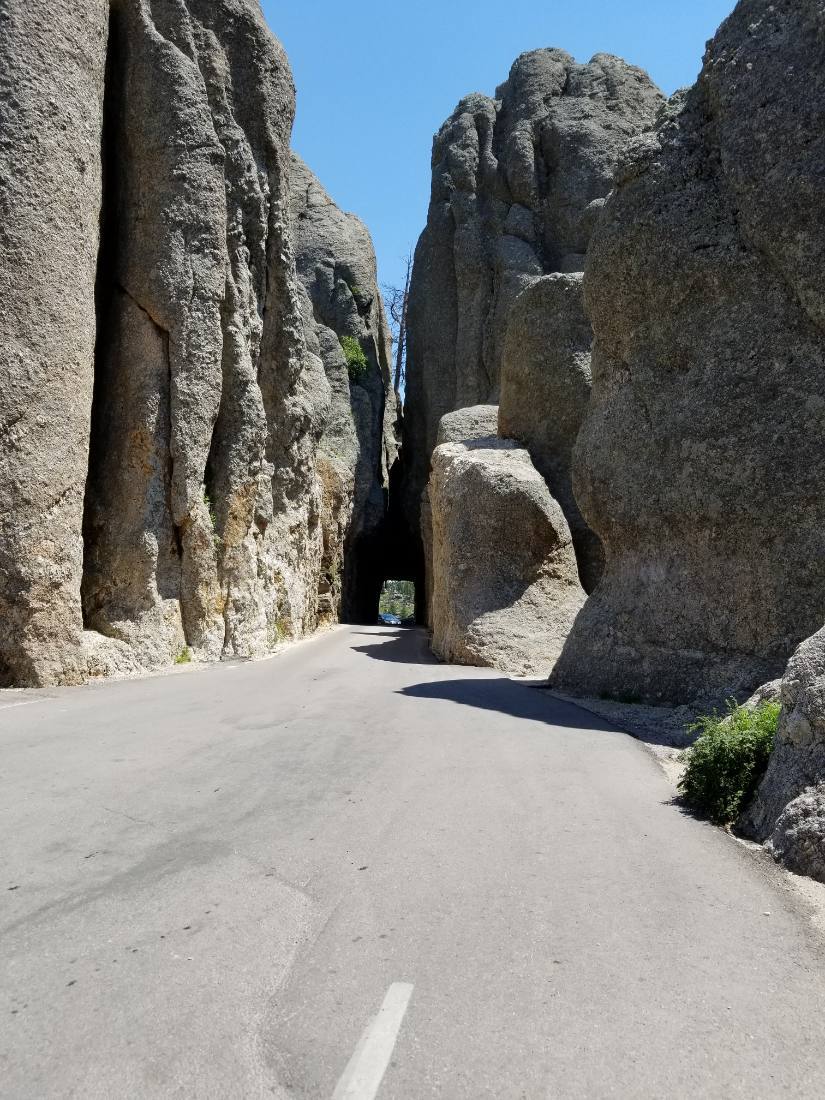 The Black Hills & Bighorn country
