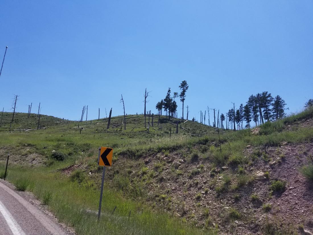 The Black Hills & Bighorn country