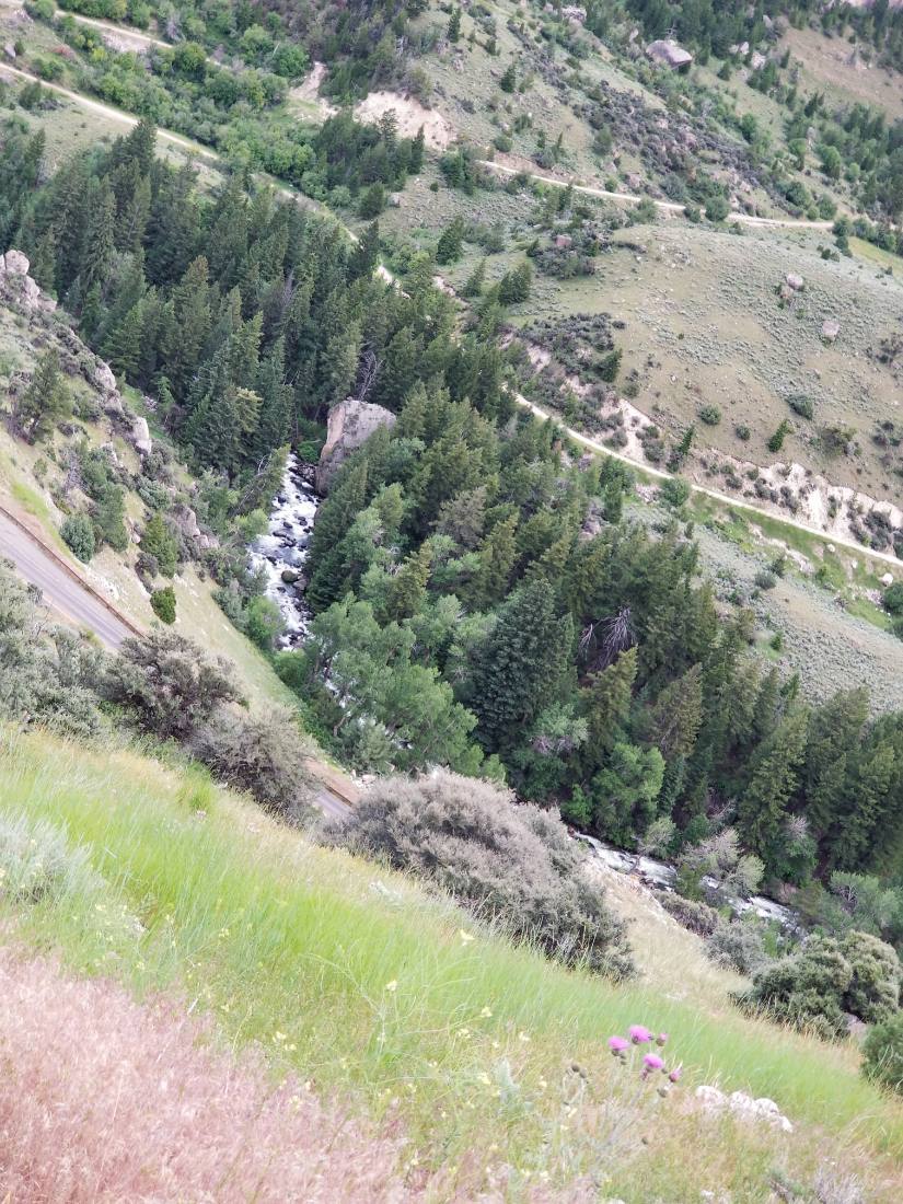The Black Hills & Bighorn country