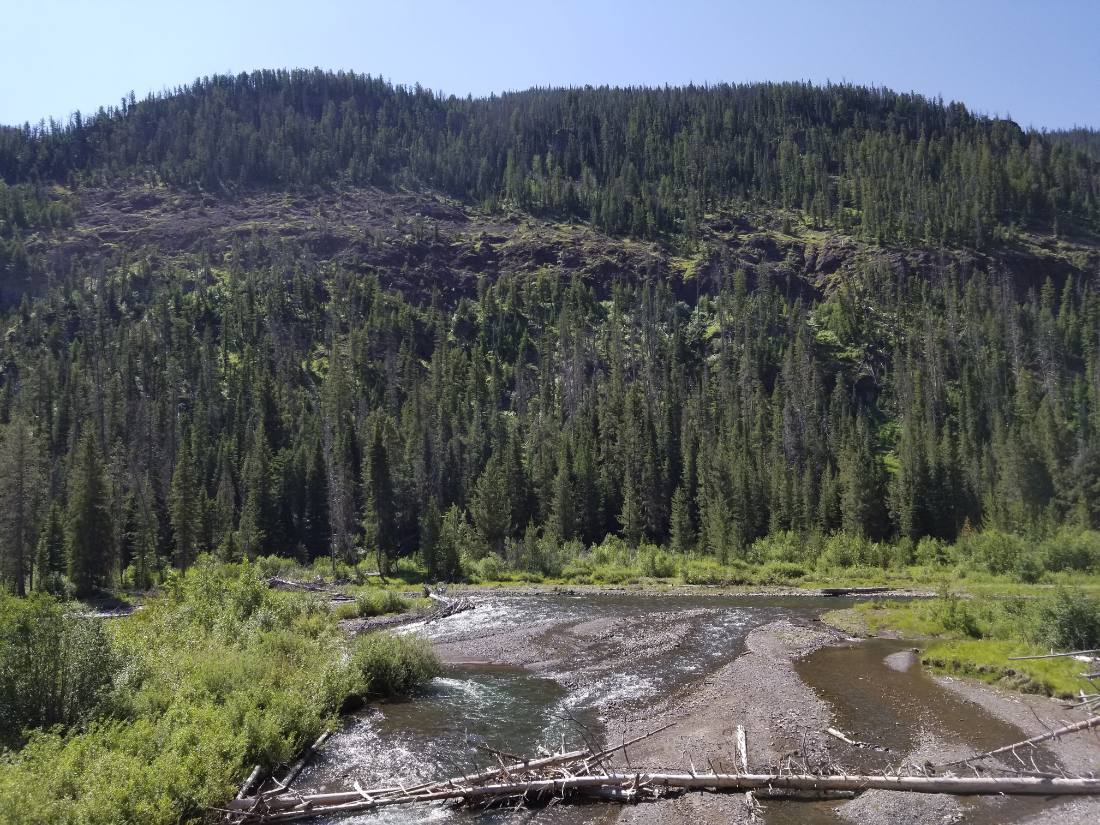 The Black Hills & Bighorn country