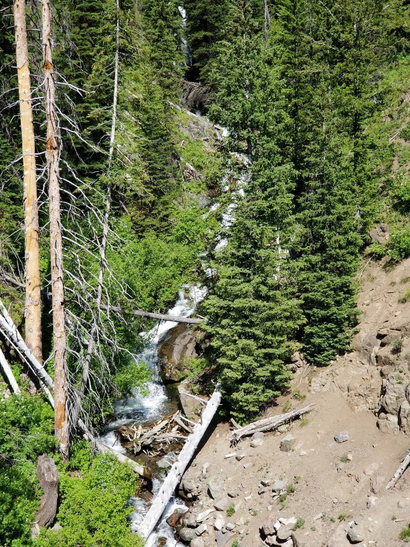 The Black Hills & Bighorn country