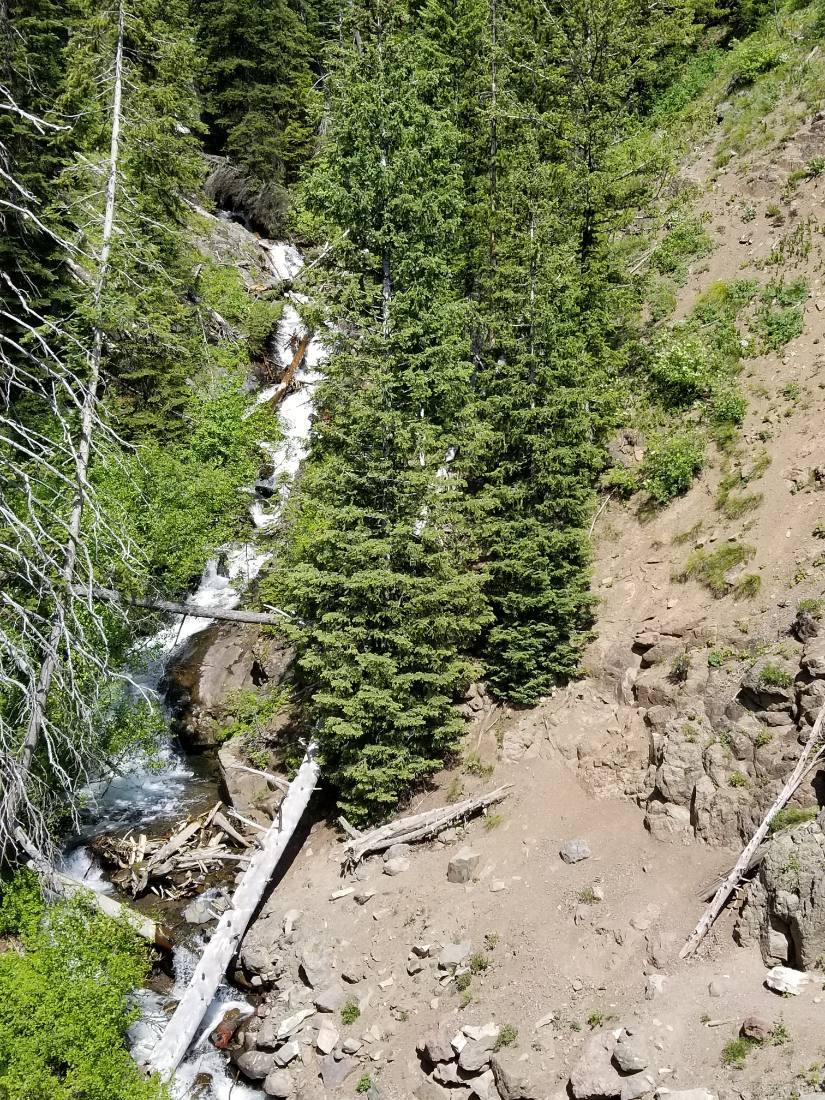 The Black Hills & Bighorn country