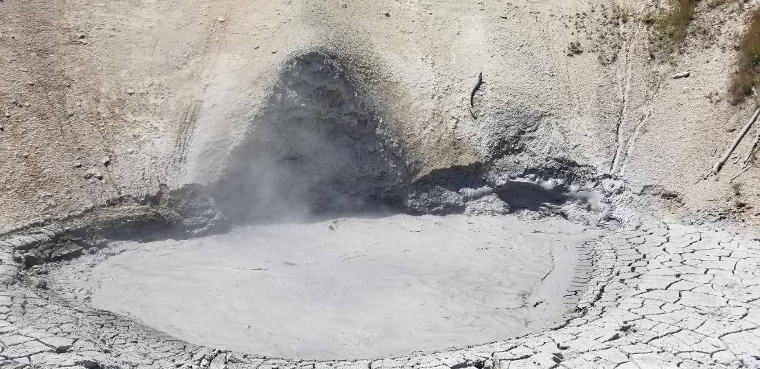 Yellowstone — canyon, falls & wildlife
