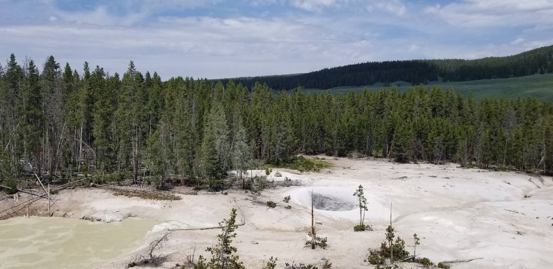 Yellowstone — canyon, falls & wildlife