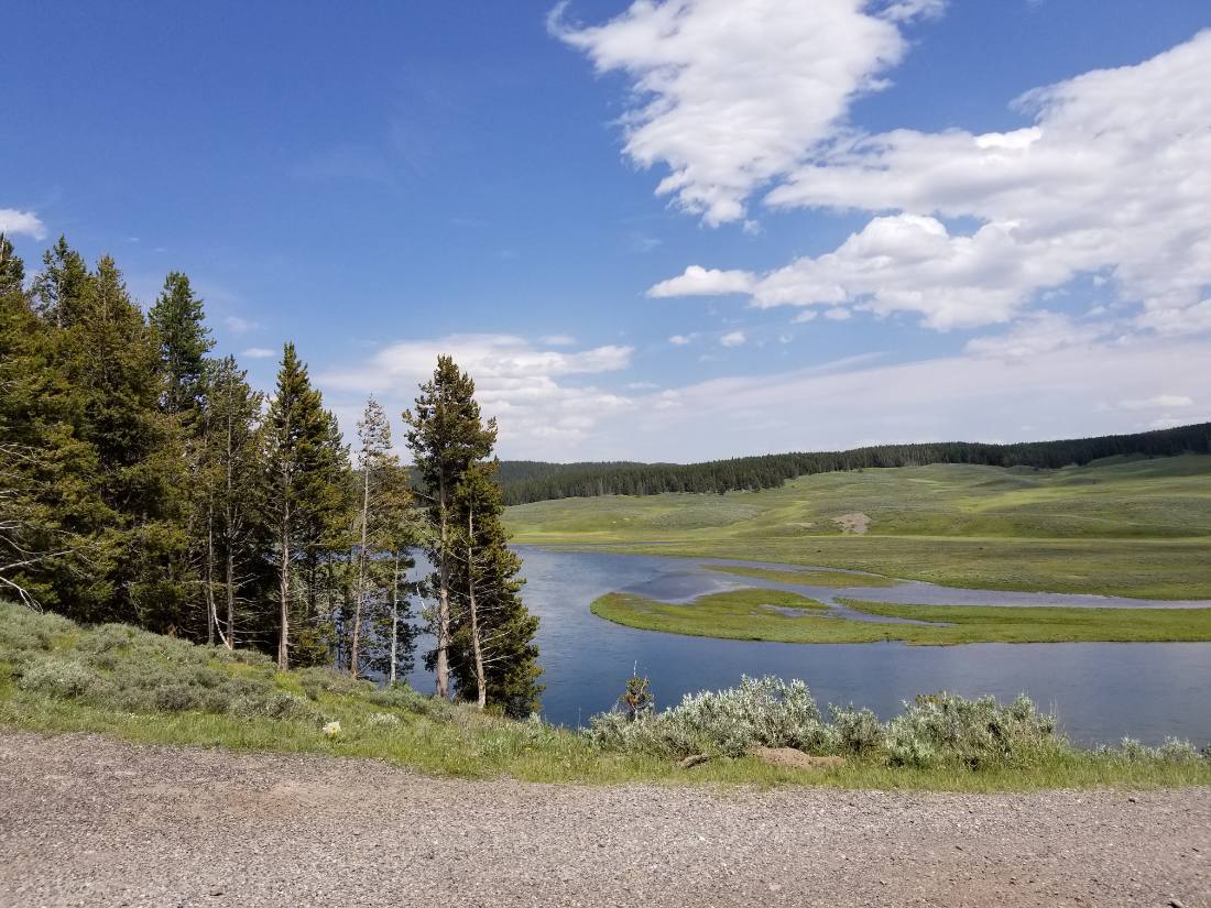 Yellowstone — canyon, falls & wildlife