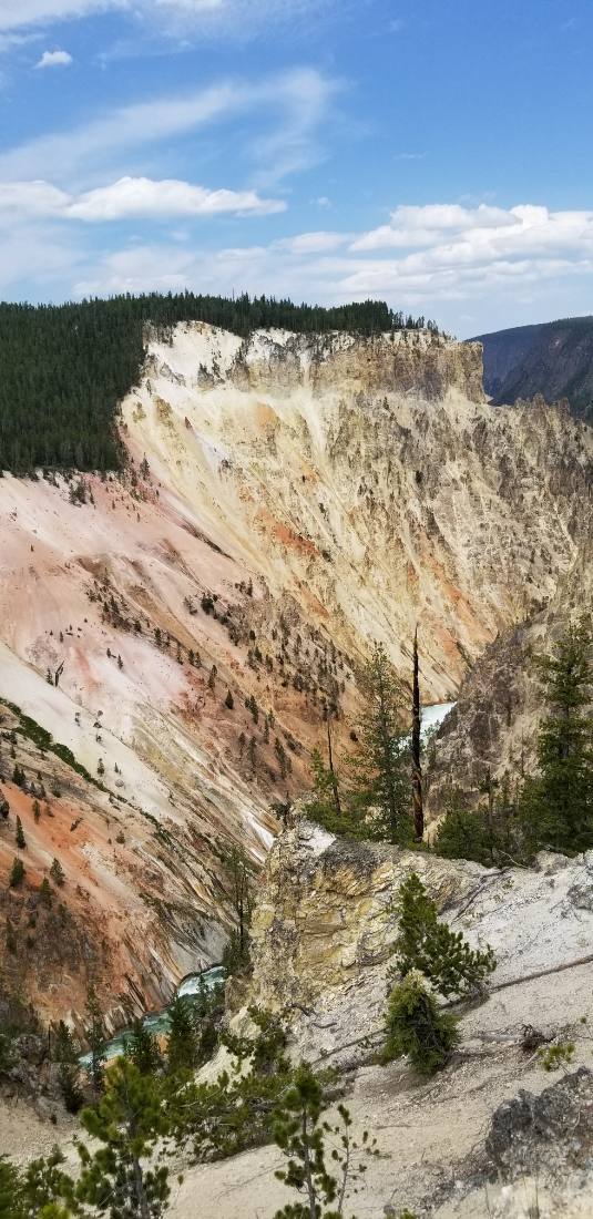 Yellowstone — canyon, falls & wildlife