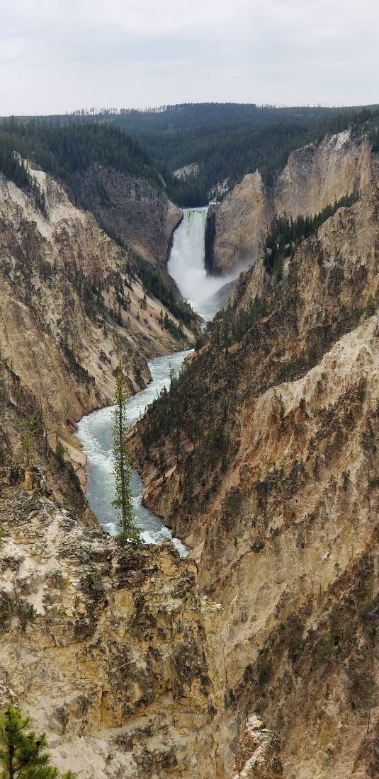 Yellowstone — canyon, falls & wildlife