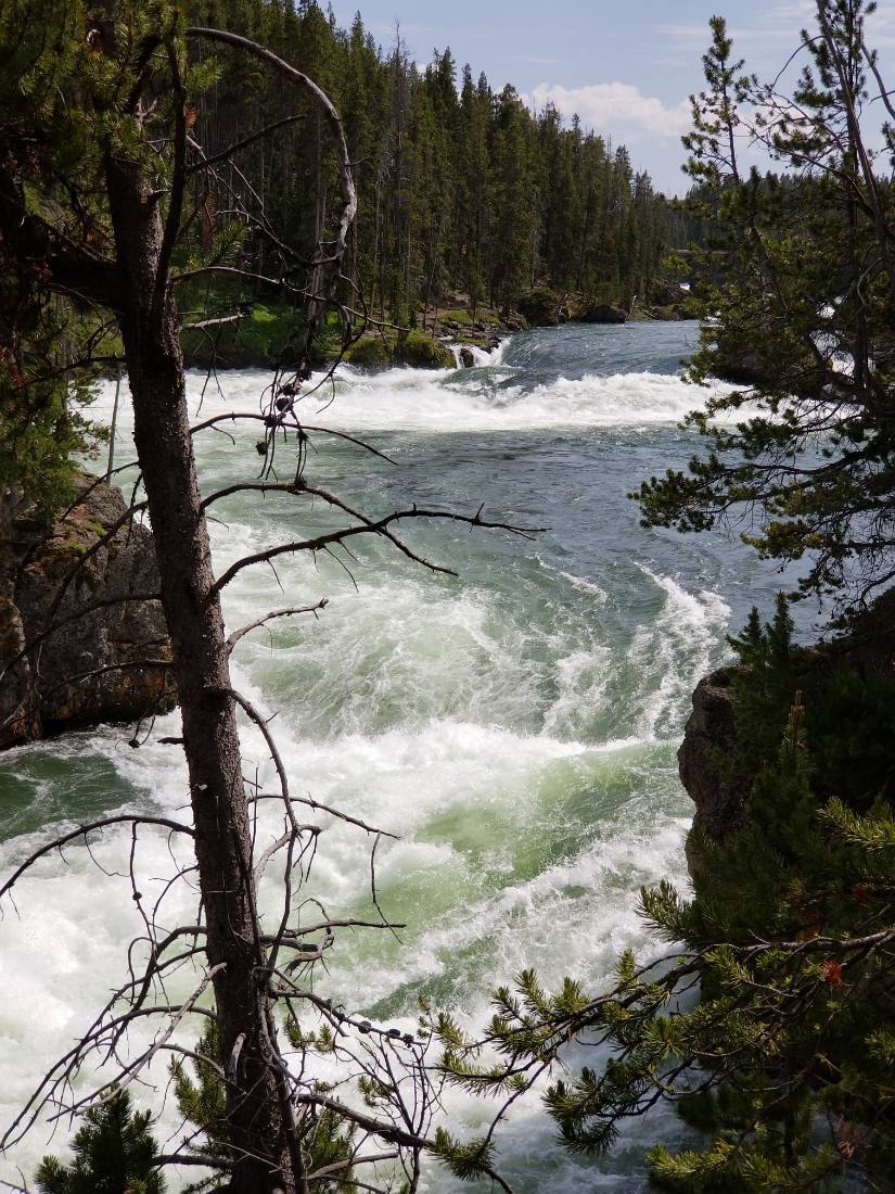 Yellowstone — canyon, falls & wildlife