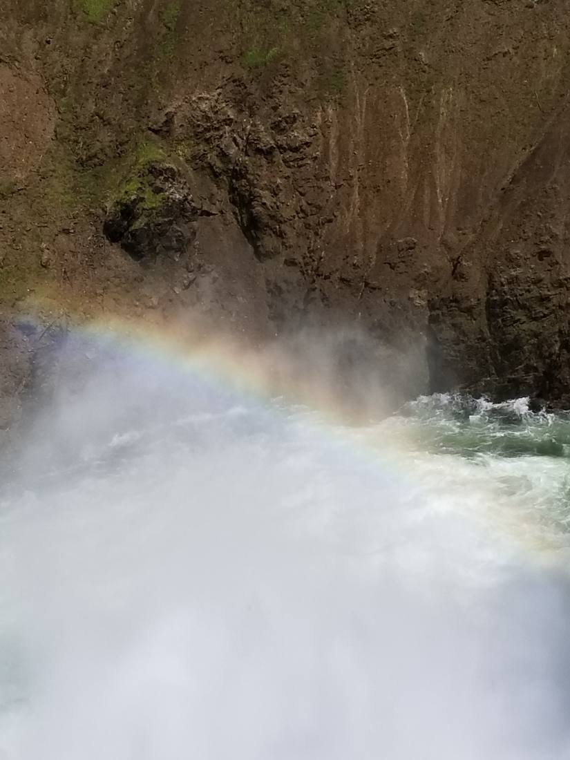 Yellowstone — canyon, falls & wildlife