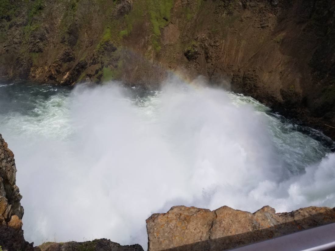 Yellowstone — canyon, falls & wildlife