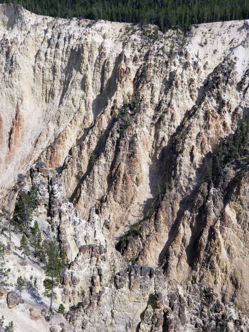 Yellowstone — canyon, falls & wildlife