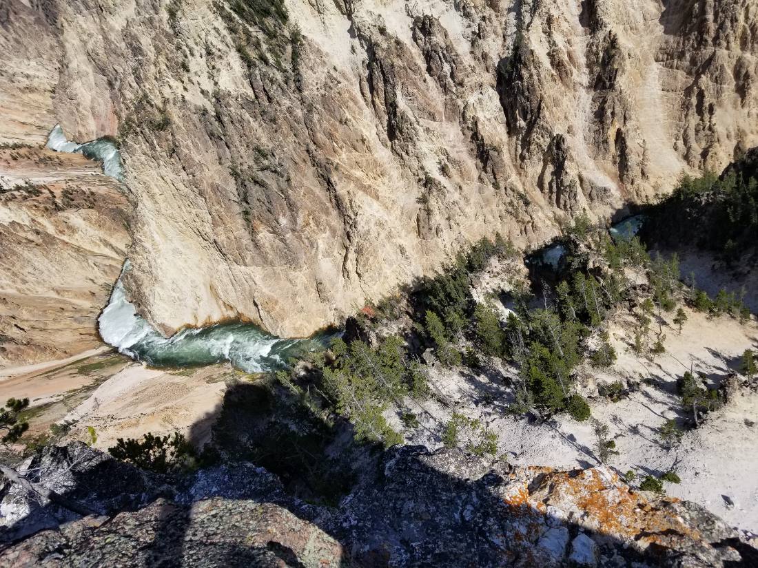 Yellowstone — canyon, falls & wildlife