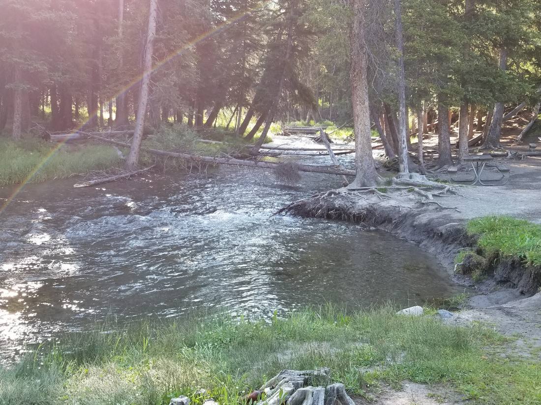 Yellowstone — canyon, falls & wildlife