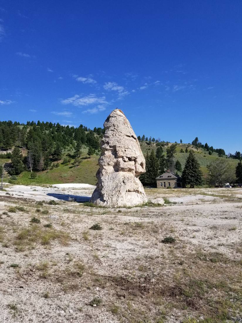 Yellowstone — canyon, falls & wildlife